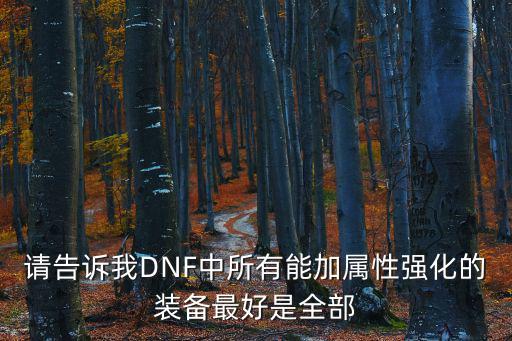 请告诉我DNF中所有能加属性强化的装备最好是全部