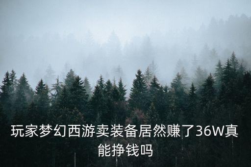 玩家梦幻西游卖装备居然赚了36W真能挣钱吗