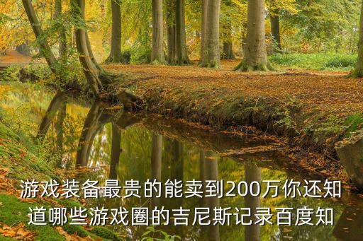 游戏装备最贵的能卖到200万你还知道哪些游戏圈的吉尼斯记录百度知