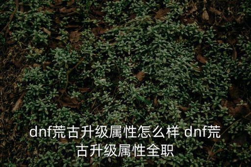 dnf荒古升级属性怎么样 dnf荒古升级属性全职