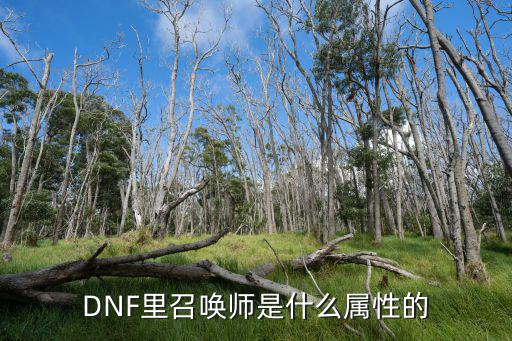 dnf 召唤师什么属性，DNF里召唤师是什么属性的