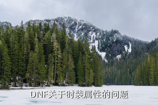 DNF关于时装属性的问题