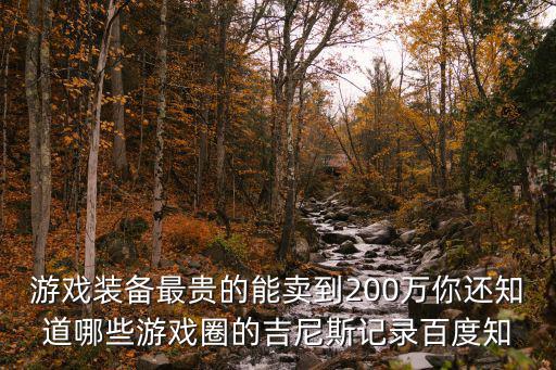 游戏装备最贵的能卖到200万你还知道哪些游戏圈的吉尼斯记录百度知