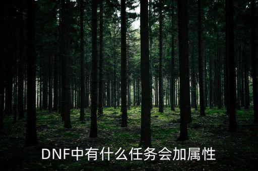 DNF中有什么任务会加属性