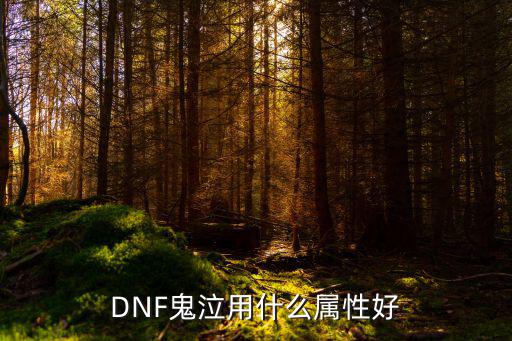 DNF鬼泣用什么属性好