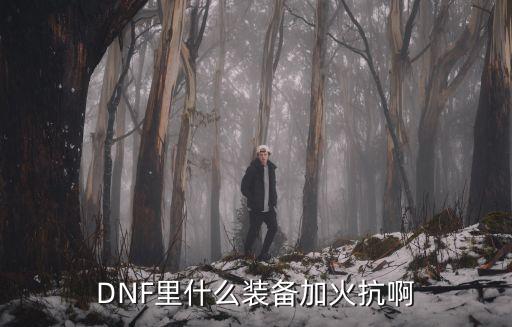 DNF里什么装备加火抗啊