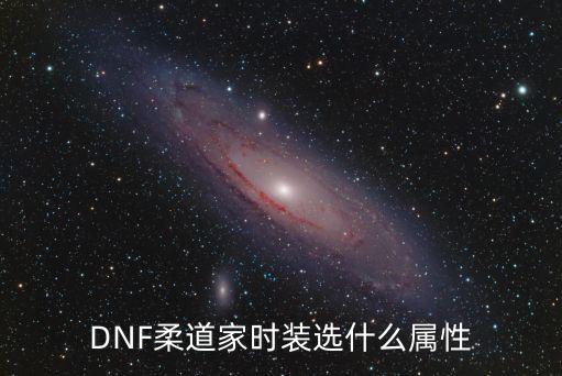 DNF柔道家时装选什么属性