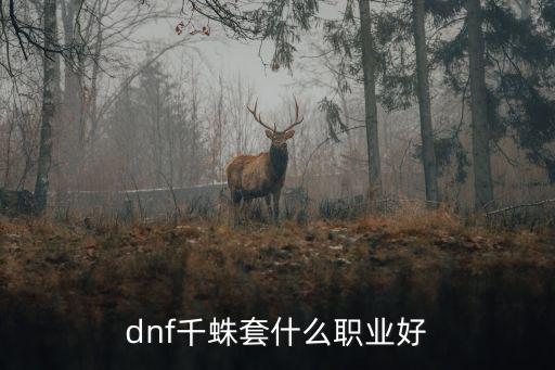 dnf千蛛套什么职业好