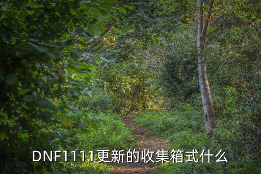 DNF1111更新的收集箱式什么