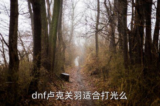 dnf卢克关羽适合打光么