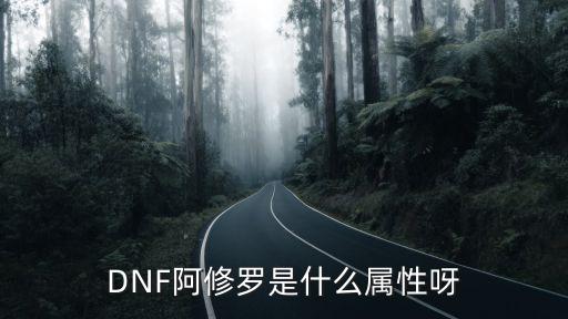 DNF阿修罗是什么属性呀