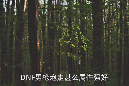 DNF男枪炮走甚么属性强好