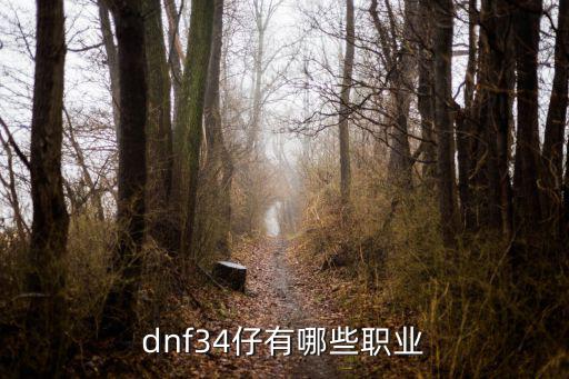 dnf34仔有哪些职业