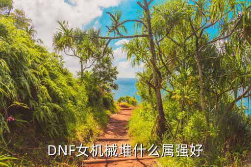 DNF女机械堆什么属强好