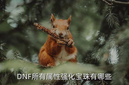 dnf属性宝珠都叫什么，dnf武器15属强宝珠叫什么