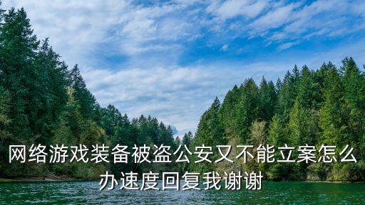 网络游戏装备被盗公安又不能立案怎么办速度回复我谢谢