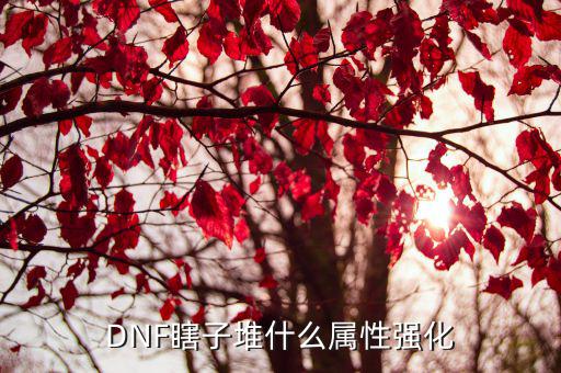 DNF瞎子堆什么属性强化