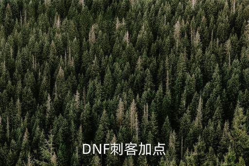 dnf刺客打什么属性好，DNF刺客时装选什么属性