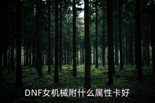 dnf机械臂卡片什么属性，dnf机械臂捷克卡片附魔要几级