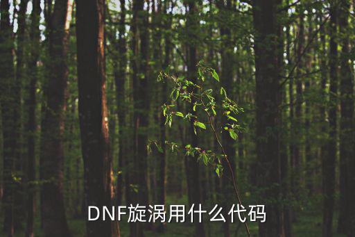 DNF旋涡用什么代码