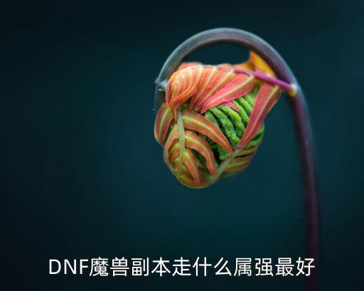 DNF魔兽副本走什么属强最好