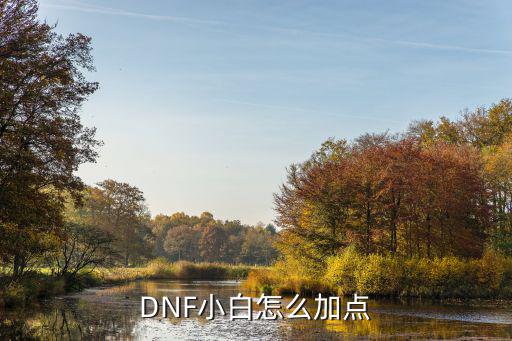 DNF小白怎么加点