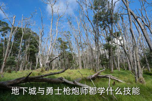 地下城与勇士枪炮师都学什么技能