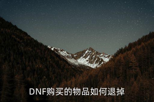 DNF购买的物品如何退掉