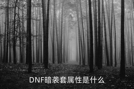 DNF暗袭套属性是什么