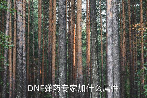 DNF弹药专家加什么属性