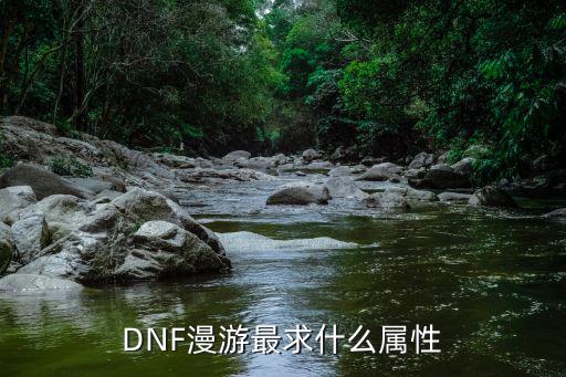 DNF漫游最求什么属性