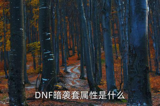 DNF暗袭套属性是什么