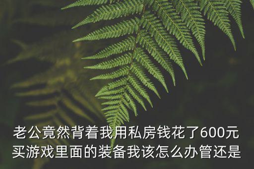 老公竟然背着我用私房钱花了600元买游戏里面的装备我该怎么办管还是