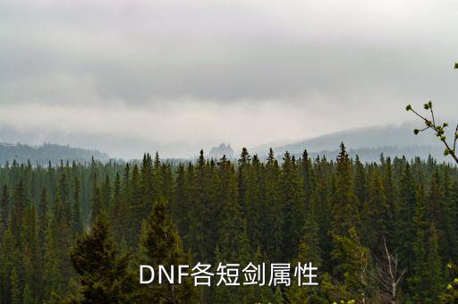 DNF各短剑属性