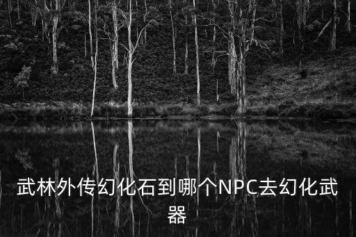 武林外传幻化石到哪个NPC去幻化武器