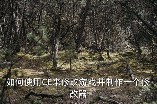 如何使用CE来修改游戏并制作一个修改器