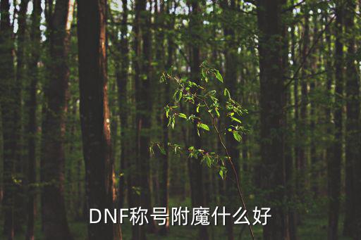 DNF称号附魔什么好