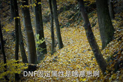 DNF固定属性是啥意思啊