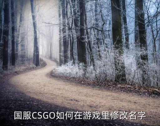 国服CSGO如何在游戏里修改名字