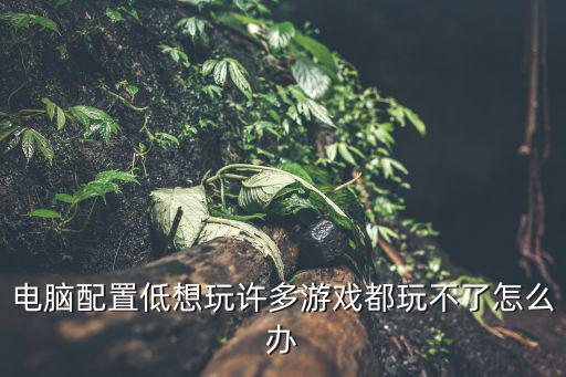 电脑配置低想玩许多游戏都玩不了怎么办