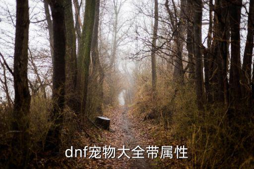 dnf宠物大全带属性