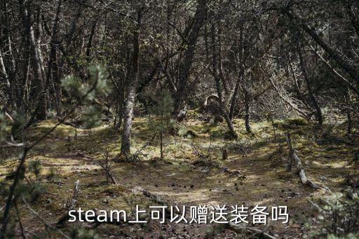 steam上可以赠送装备吗