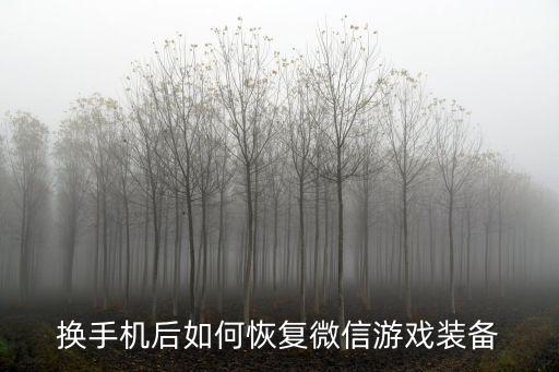 微信游戏装备怎么处理，换手机后如何恢复微信游戏装备