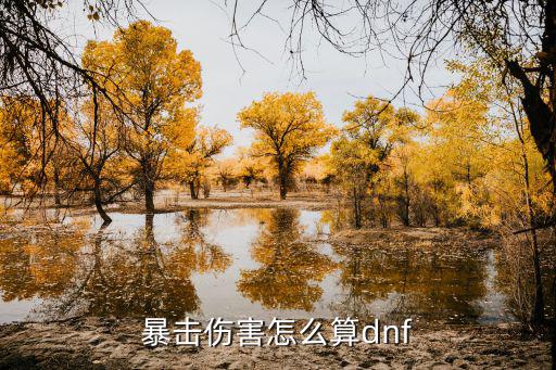 暴击伤害怎么算dnf