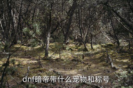 dnf暗帝带什么宠物和称号