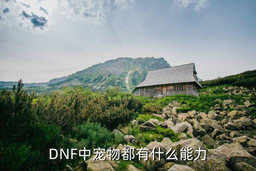 DNF中宠物都有什么能力