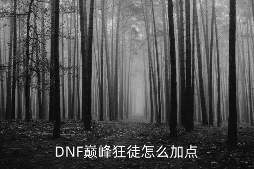 DNF巅峰狂徒怎么加点