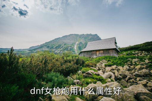 dnf女枪炮用什么属性好