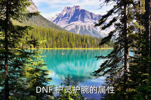 DNF 护灵护腕的属性