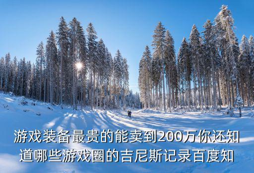 游戏装备最贵的能卖到200万你还知道哪些游戏圈的吉尼斯记录百度知